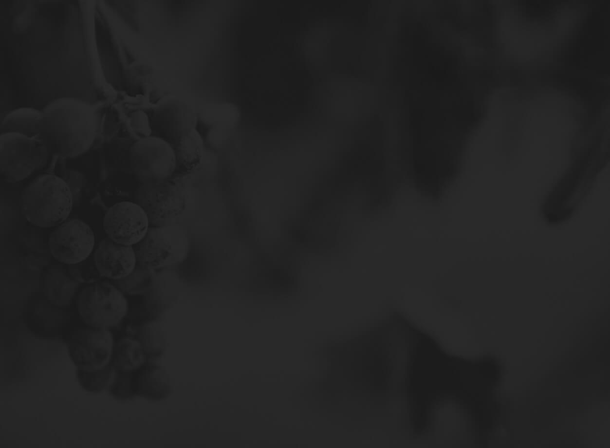 wine-sleder-1-bg-1.jpg